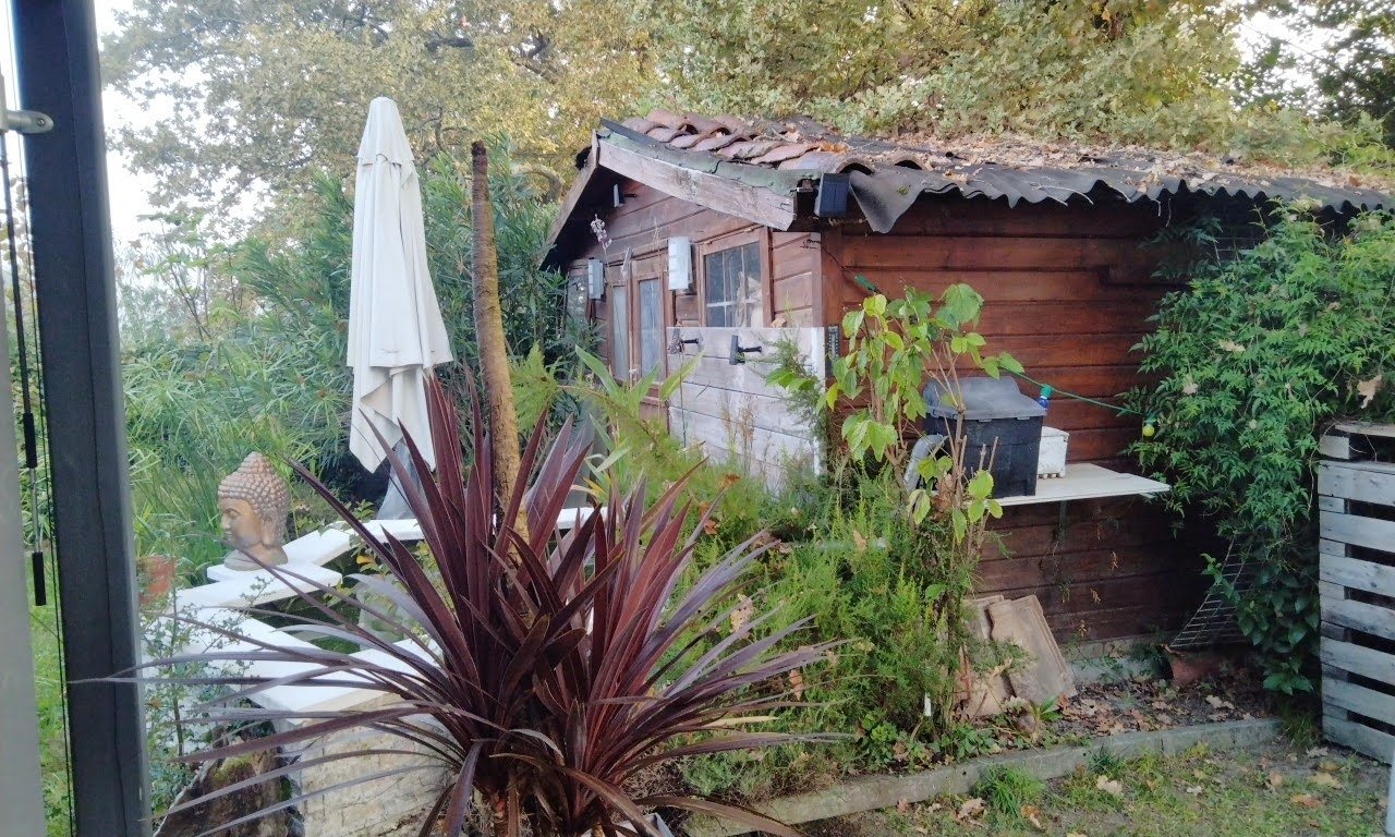 img 20251001 091650 9 2 img 20251001 091650 9 2