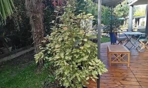 Maison d'hôtes le clos 26 img 20251001 094840 333