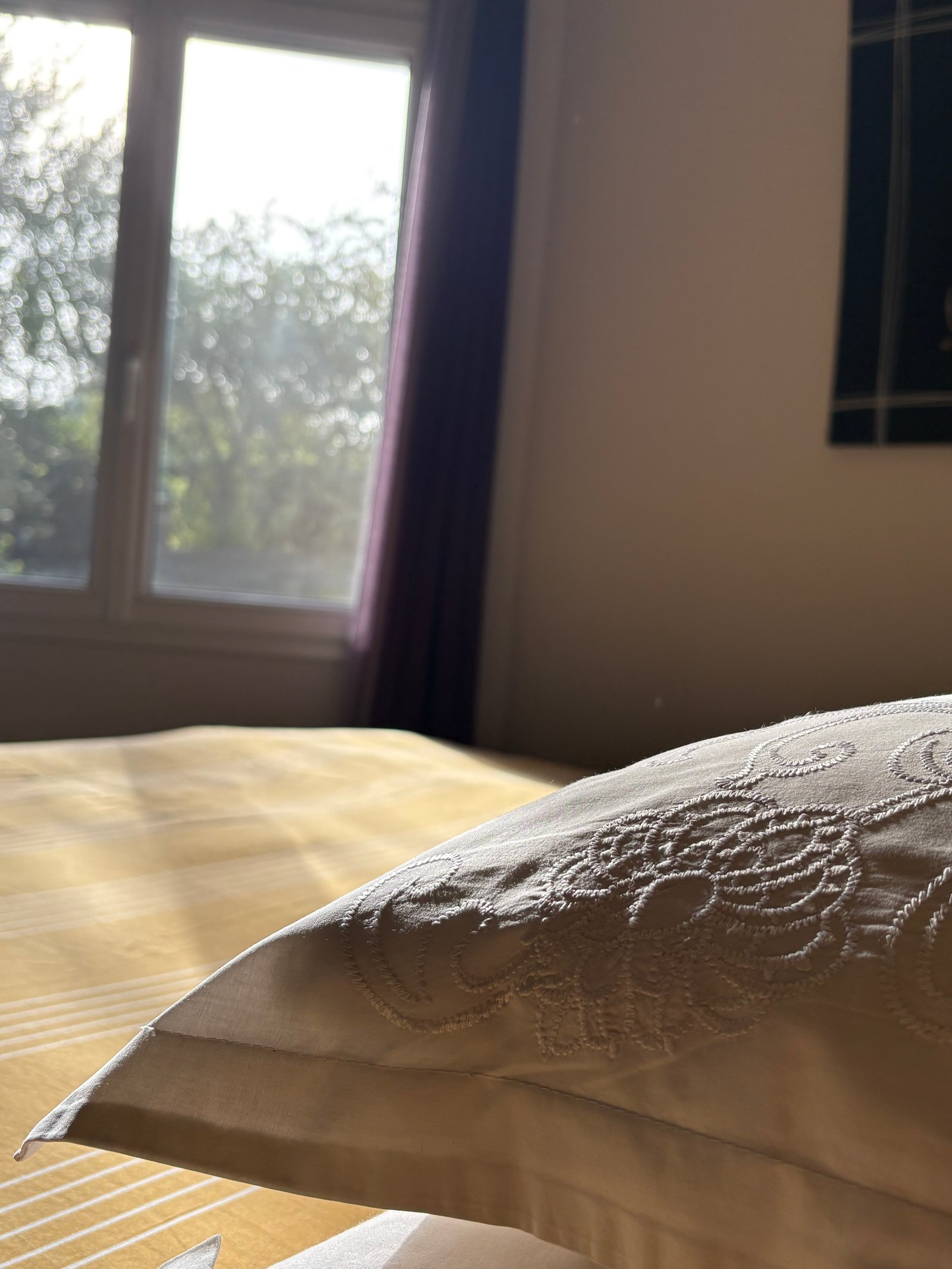 img 3172 2 img 3172 2