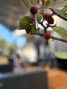 Maison d'hôtes le clos 26 img e3155