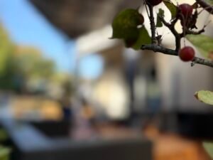 Maison d'hôtes le clos 26 img e3158