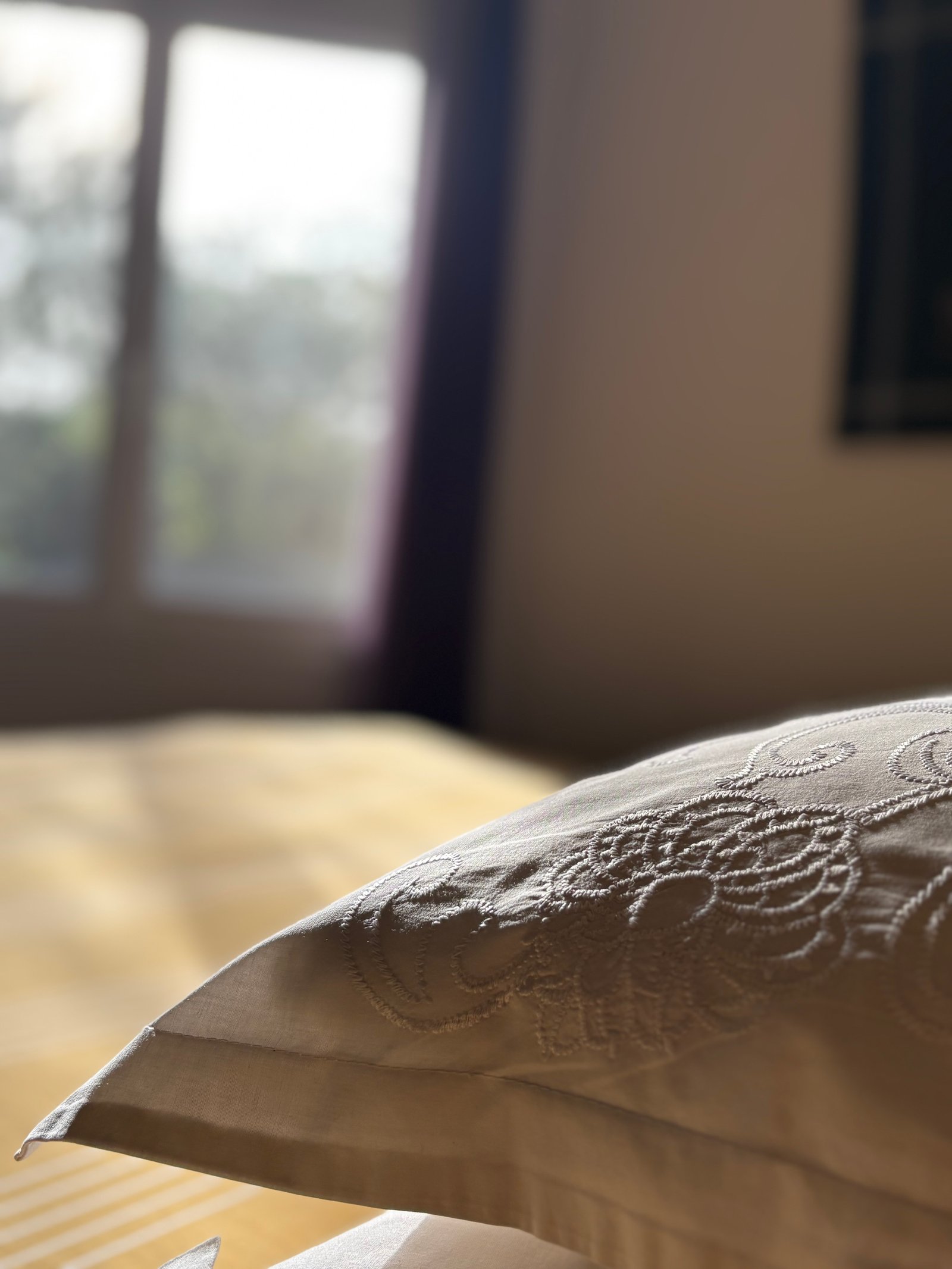 img e3172 2 img e3172 2