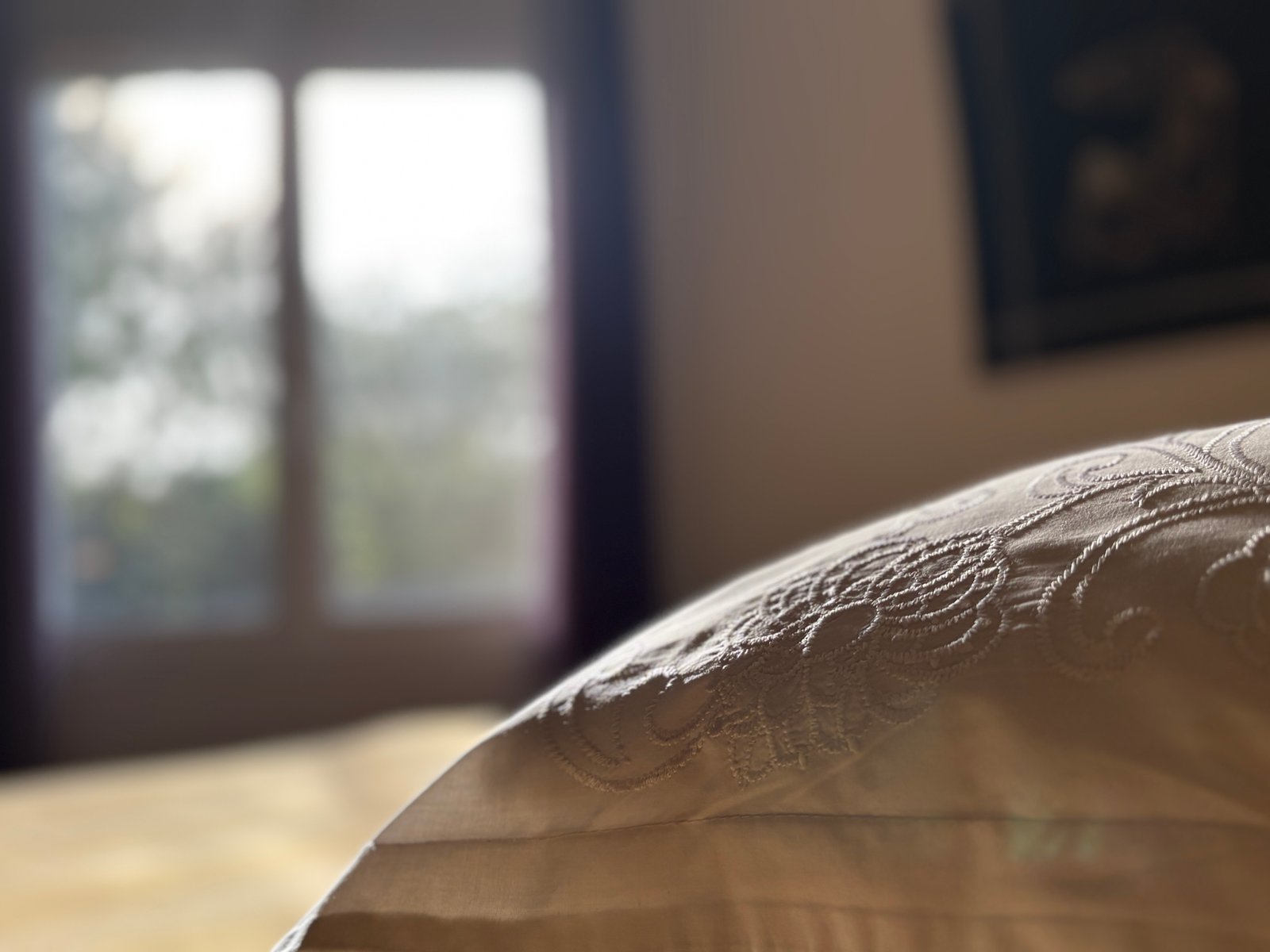 img e3173 2 img e3173 2